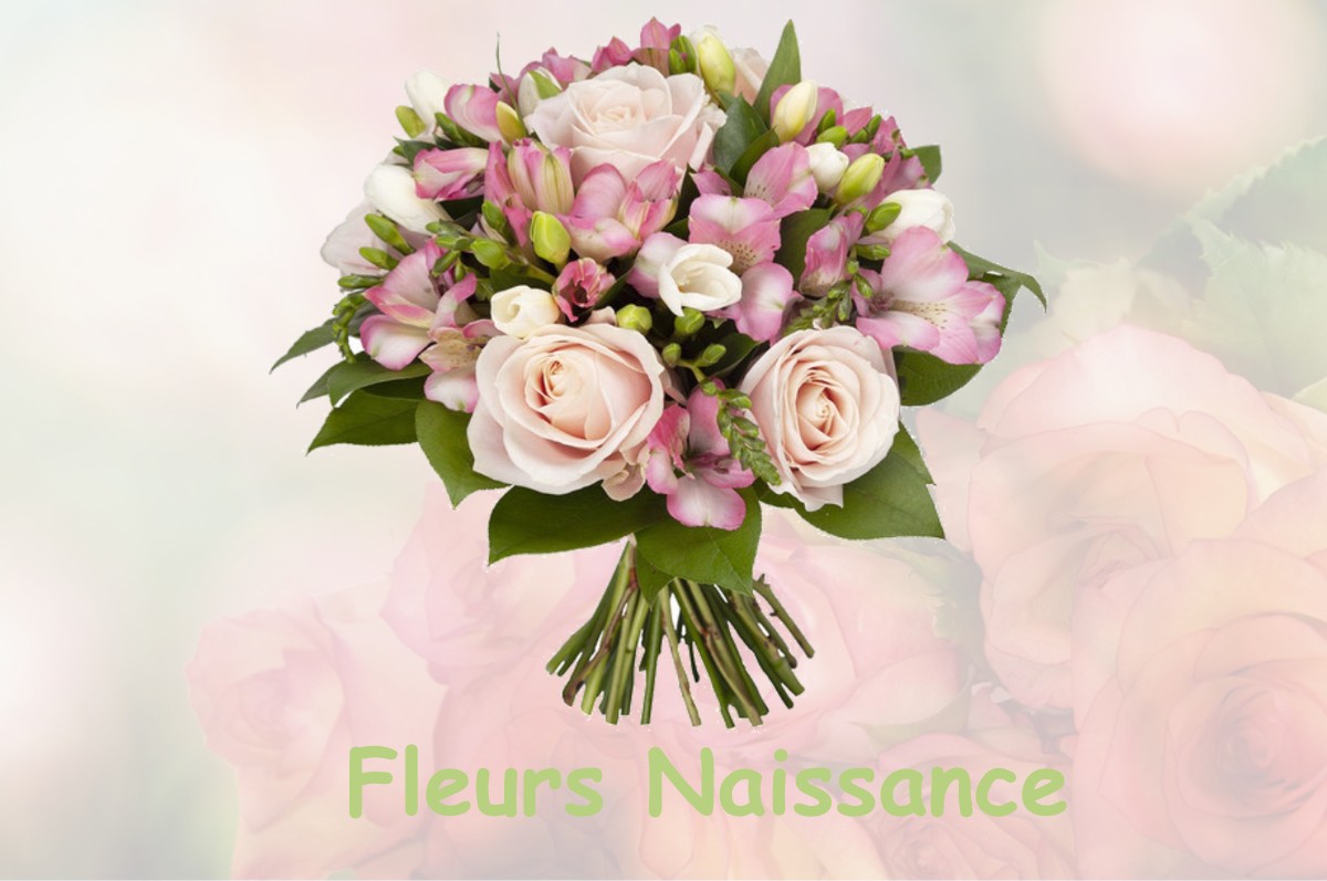 fleurs naissance VARENNES-SUR-MORGE
